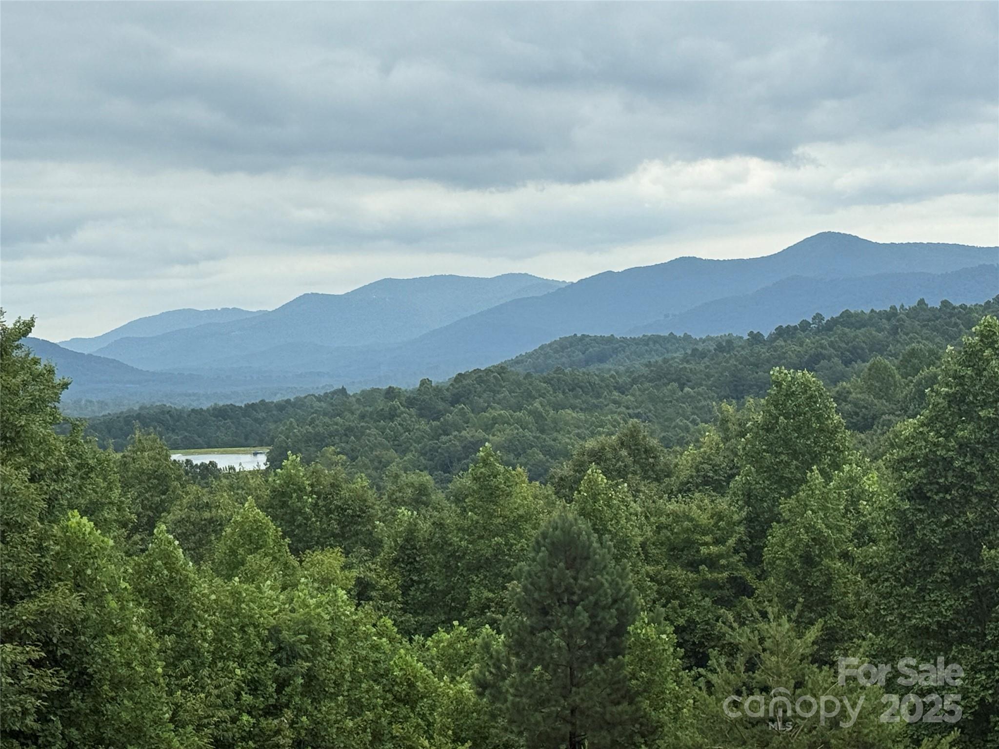4289434 - 166 Coal Pit Mountain Drive 359