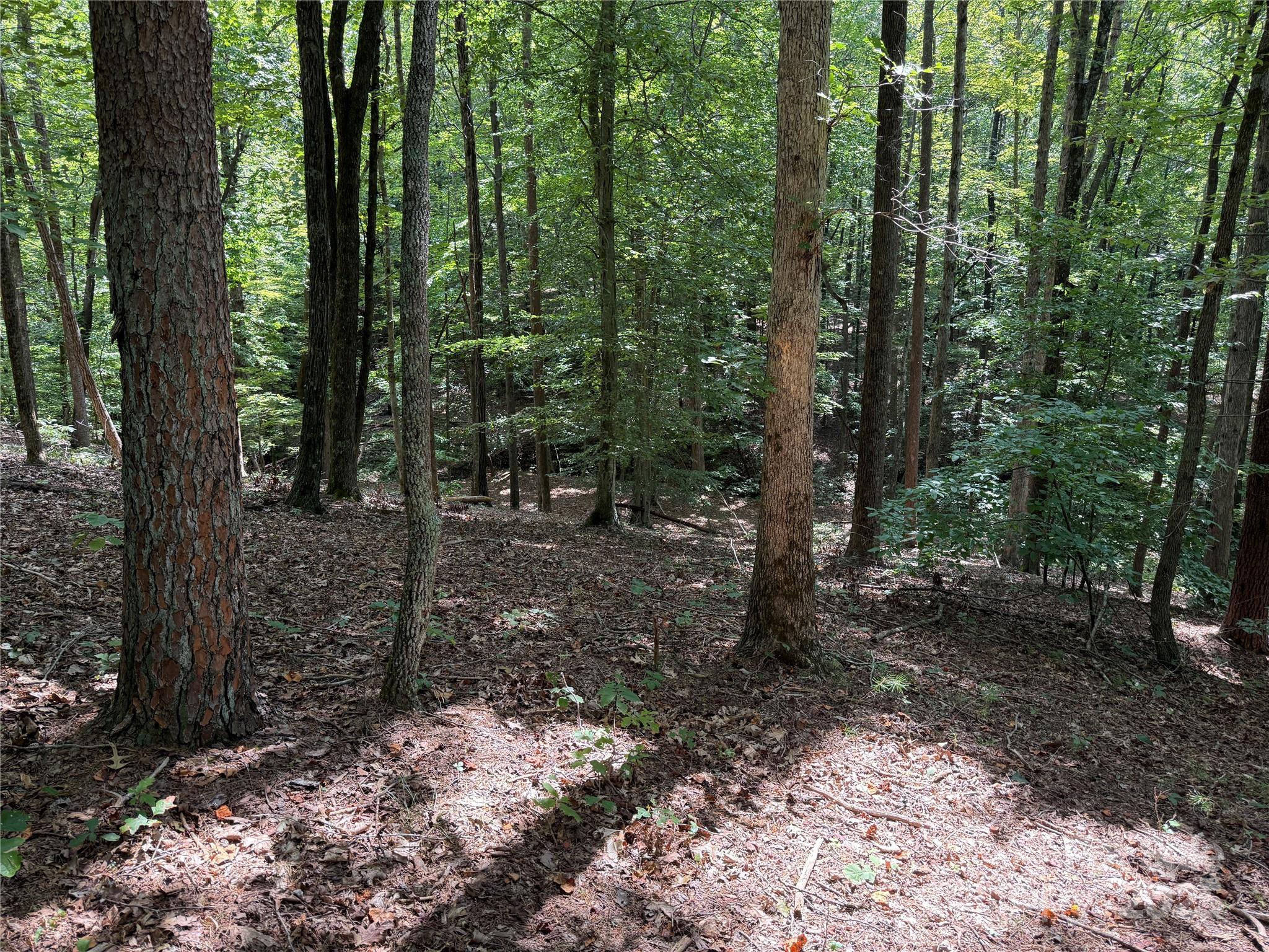 4298198 - 0 Mountain Brook Trail 298