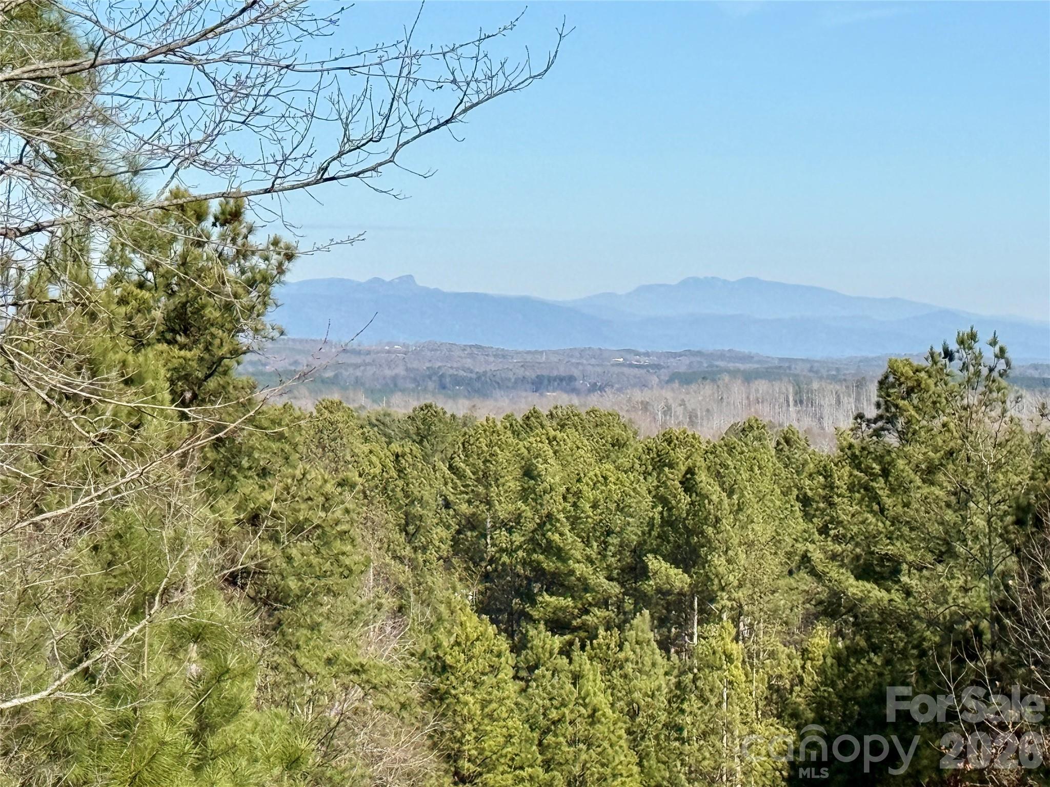4341536 - 338 Grandview Peaks Drive 36