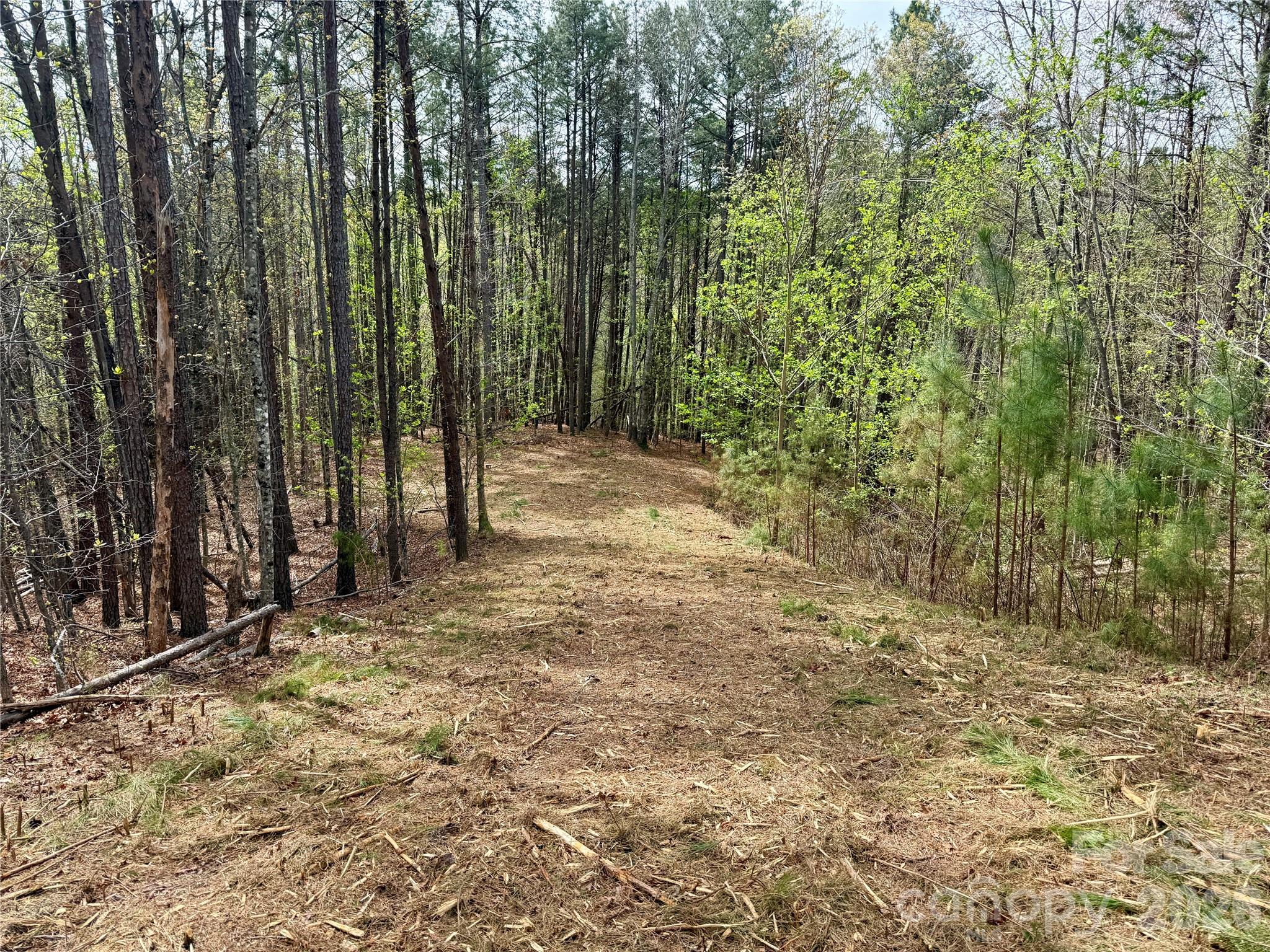 4369175 - Lot 488 Bella Vista Way 488