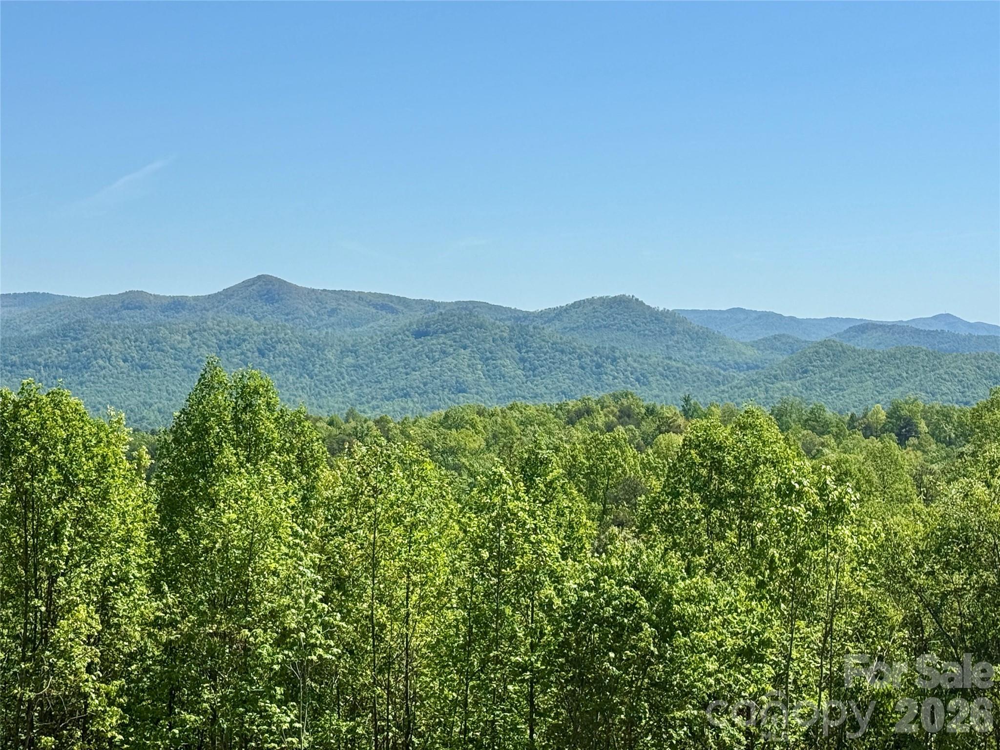 4373536 - 0 Doe Hallow Trail 218