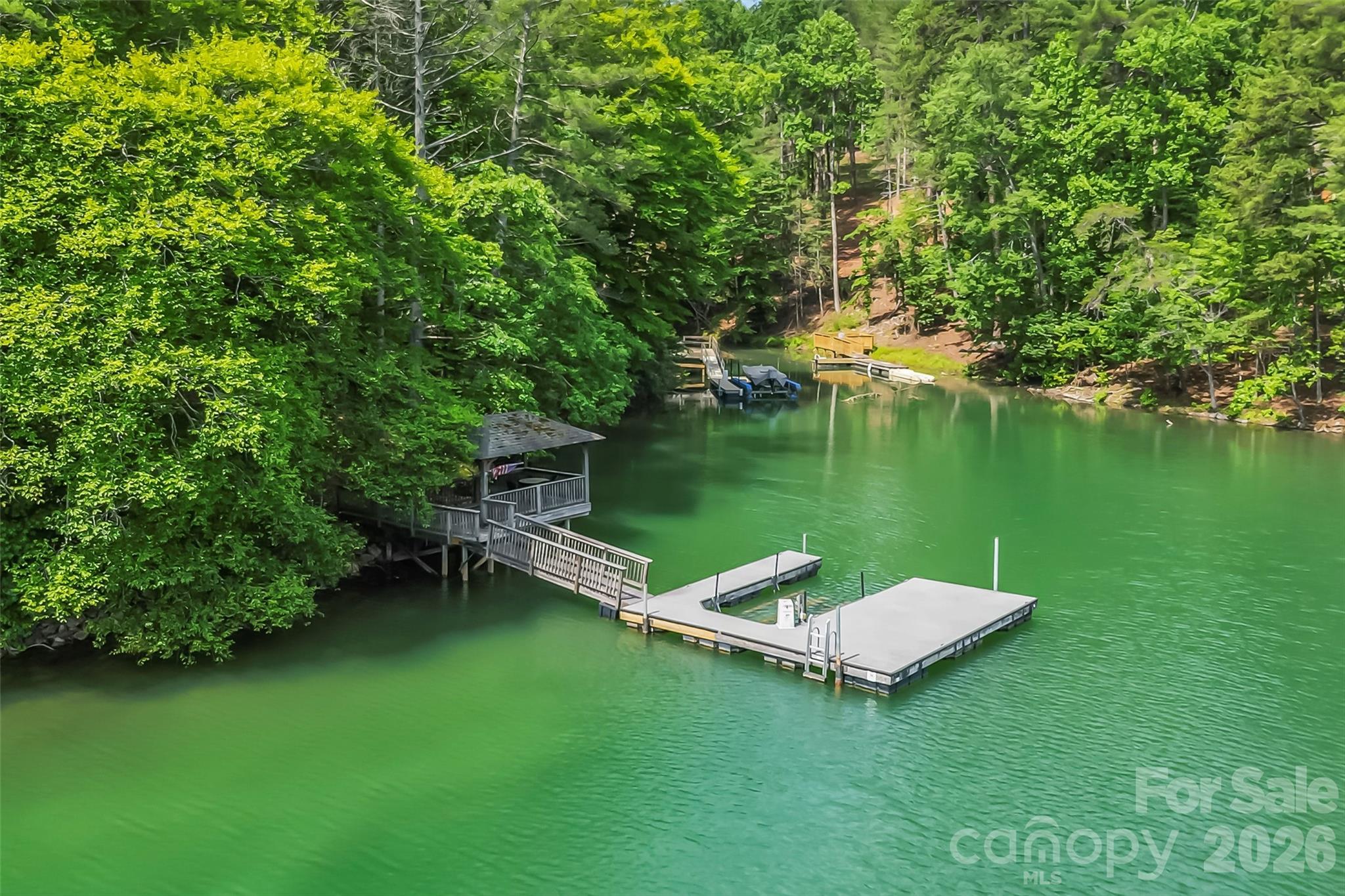 4388439 - 1514 Braxton Gate Drive 216